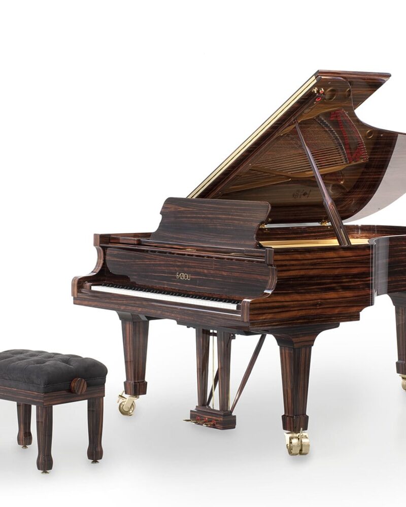 Fazioli Macassar 2014 Grand Piano