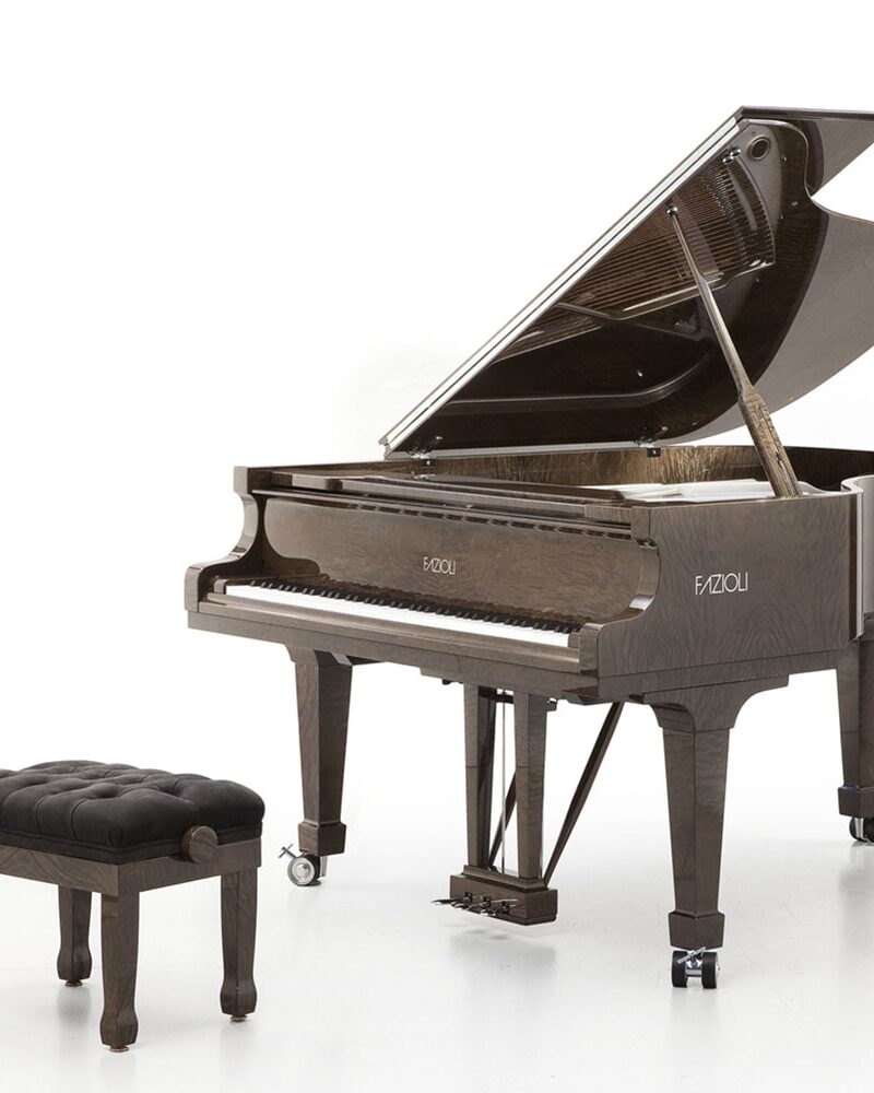 Fazioli Tamo 2014 Grand Piano