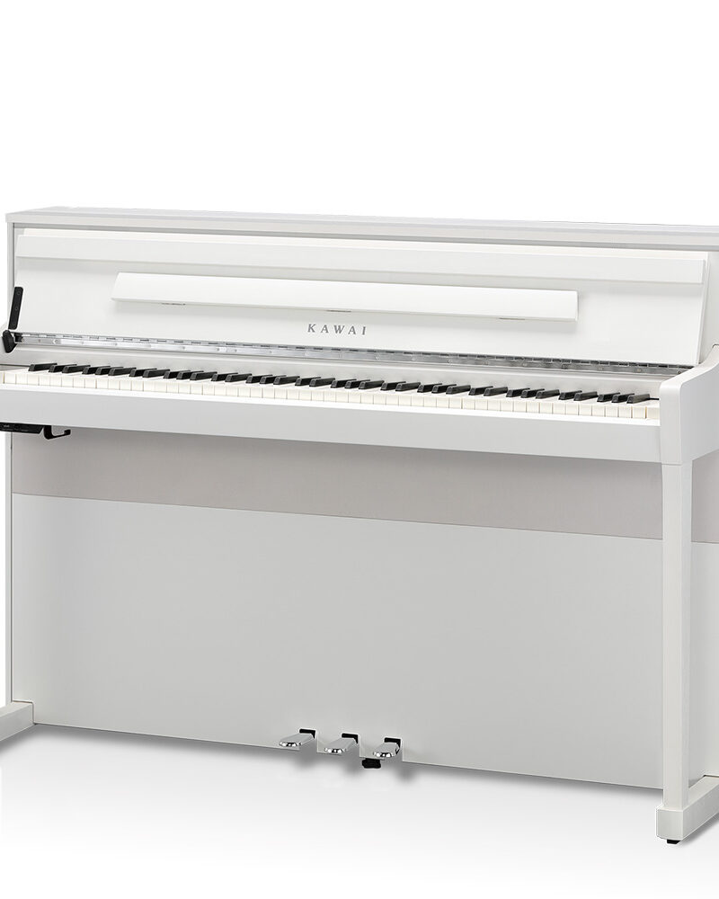 KAWAI CA901 BK/RW/WH Digital Piano